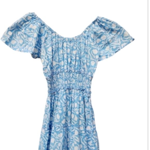 Pink City Prints Rah Rah Maxi Dress in Baby Tulip, blue maxi smocked (small) - Picture 4 of 10